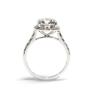 Mera Round Moissanite with Halo in Pave Band Ring in 18K gold - LeCaine Gems
