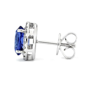 Ready Made | Royal Blue Oval Lab Grown Sapphire with Halo Stud Earrings in 18K White Gold - LeCaine Gems