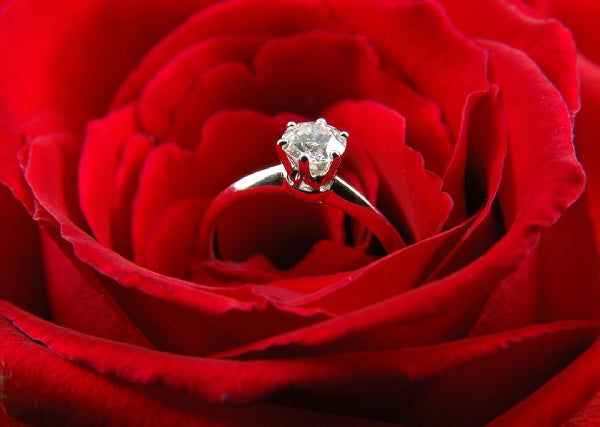 Hidden Halos to Bezel Sets: 2026 Ring Style Breakdown