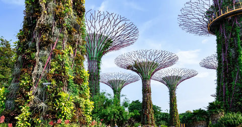 Gardens by the Bay, Singapore