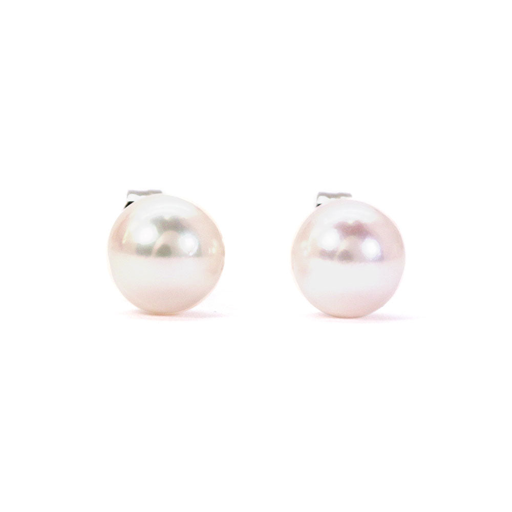 White Akoya Stud Earrings,  6.5 x 7mm | LeCaine Gems