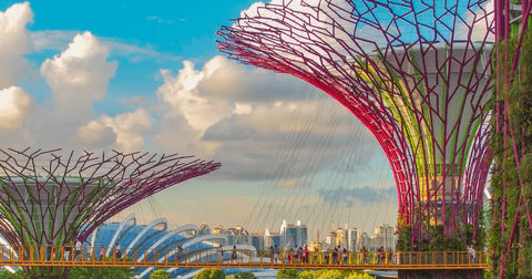 Magical Gardens by the Bay 