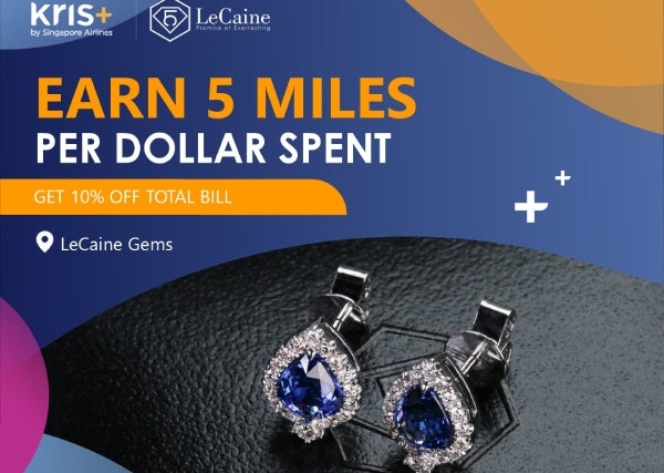 LeCaine Collaboration With Kris+